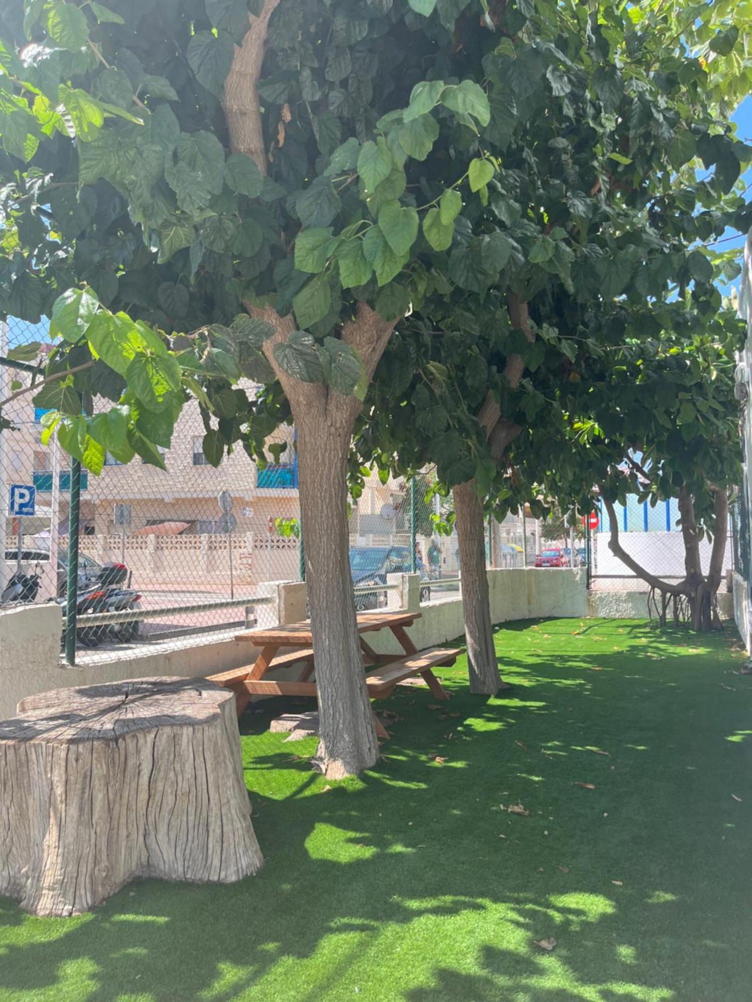 Apartamento 1ª Linea De Playa - Con Piscina Y Parking Playa de Gandia 외부 사진
